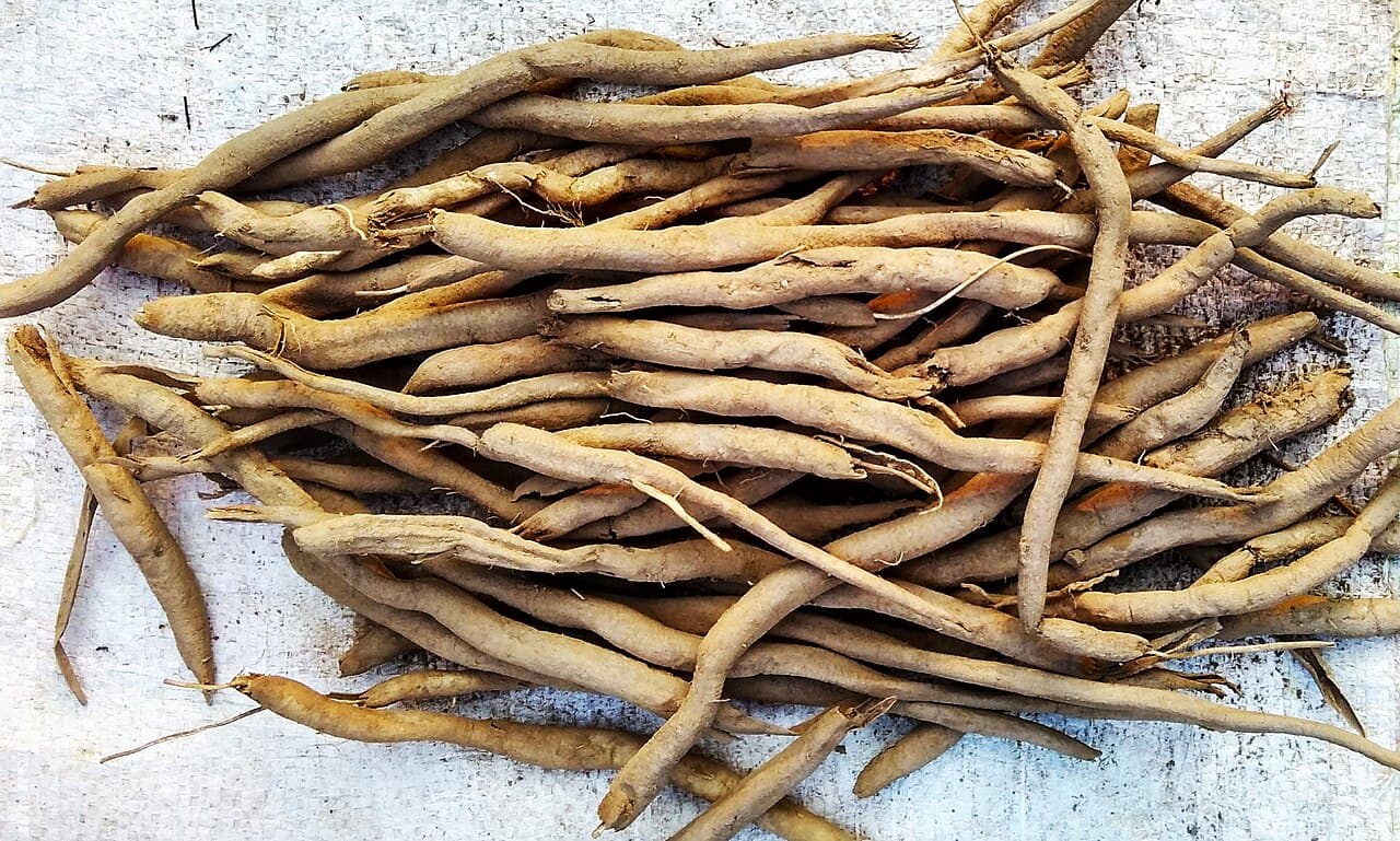 Dried safed musli tubers