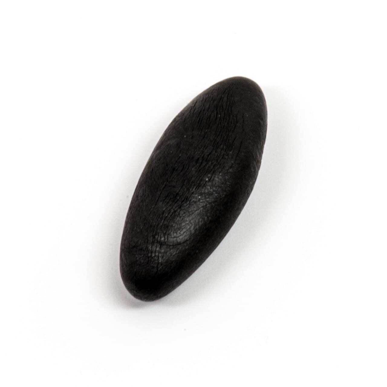A piece of purified Himalayan shilajit resin