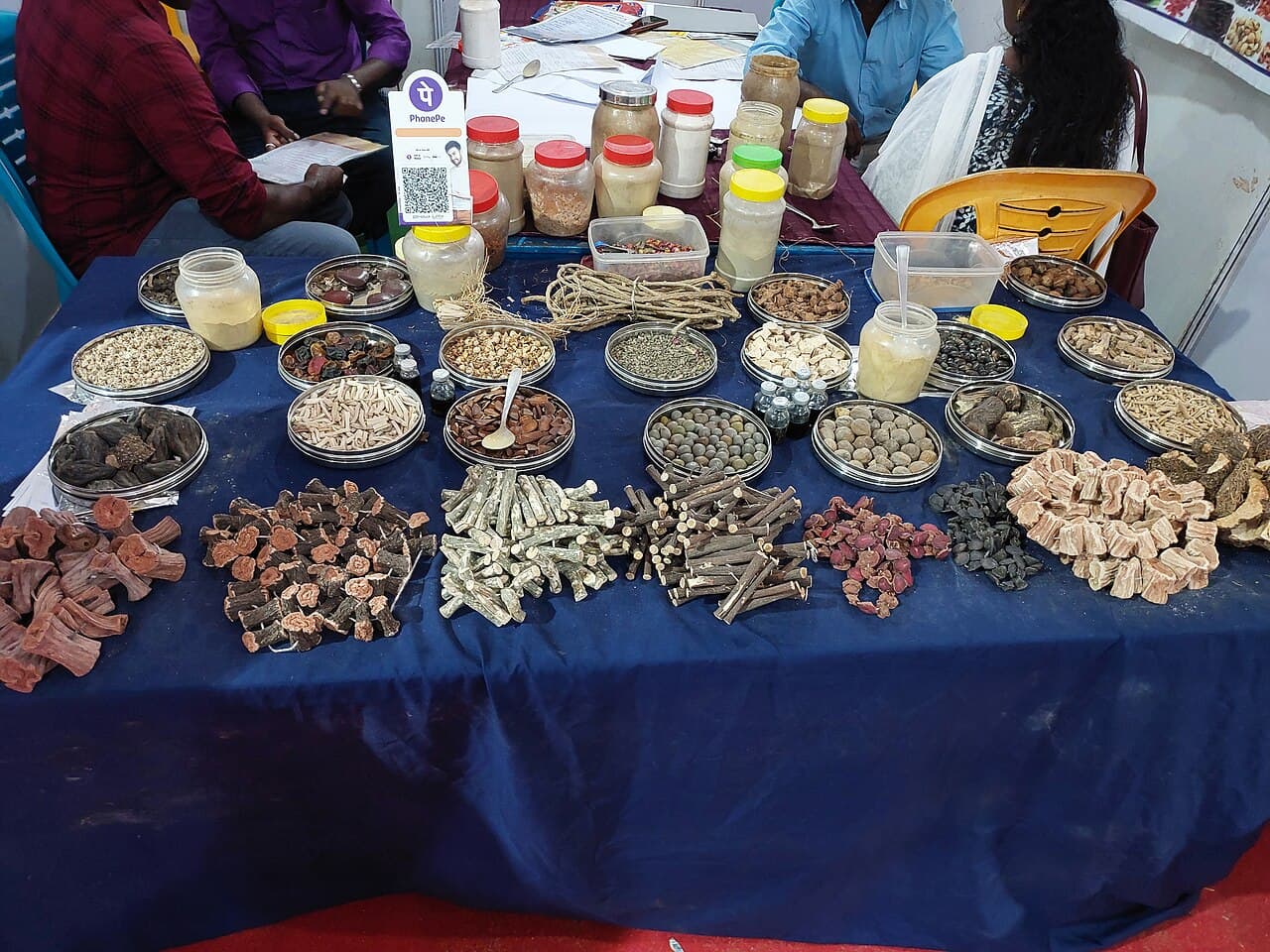 Display of raw Ayurvedic herbs, roots and plant materials